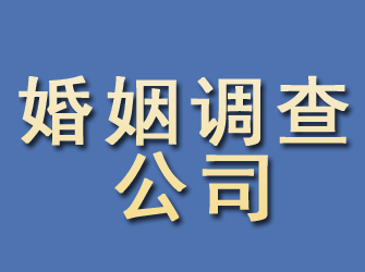 阳西婚姻调查公司